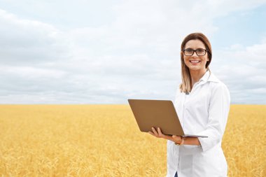 Tahıl alan içinde laptop ile genç ziraat mühendisi. Tahıl tarım