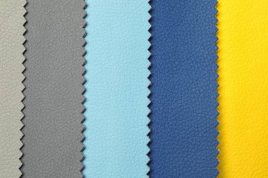 İç tasarım arka plan olarak için farklı renk deri örnekleri