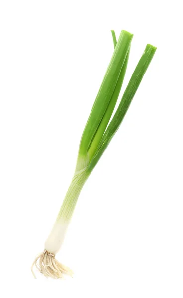 Fresh Green Onion White Background — Stock Photo, Image