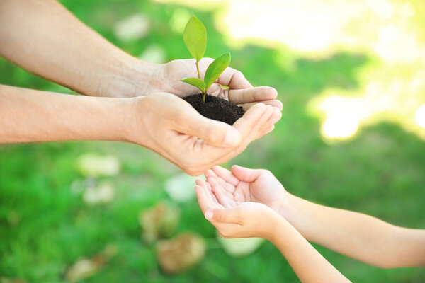 Man passing soil with green plant to his child on blurred background. Family concept