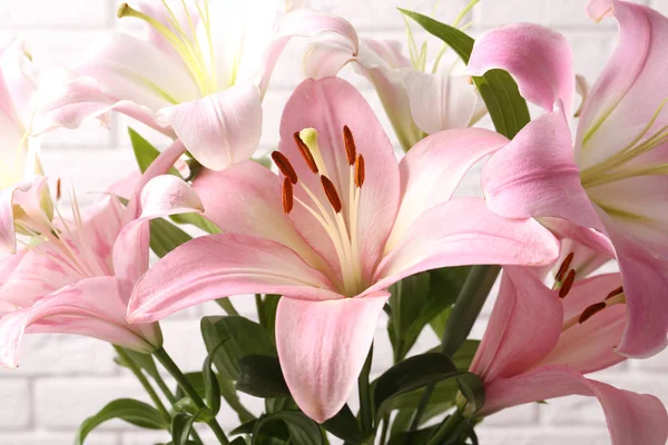 Beautiful Blooming Lily Flowers Closeup View Royalty Free Stock Images