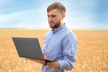 Tahıl alan içinde laptop ile genç ziraat mühendisi. Tahıl tarım