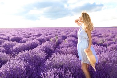 Yaz günü lavanta tarlasında genç bir kadın.