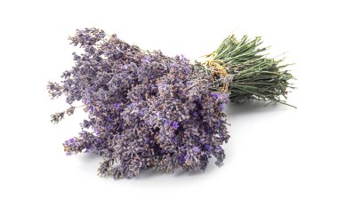 Beyaz arka planda güzel açan lavanta çiçekleri