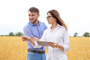 Genç Ziraat tahıl alanda. Tahıl tarım