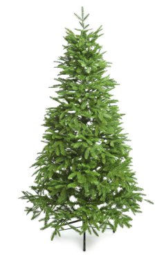 Beyaz arkaplanda yeşil Noel ağacı