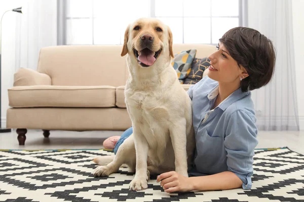 Entzückender Gelber Labrador Retriever Mit Besitzer Hause — Stockfoto