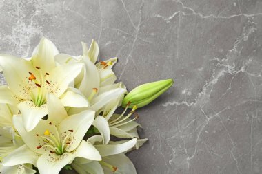 Lily çiçekler gri arka plan üzerinde düz yatıyordu kompozisyon