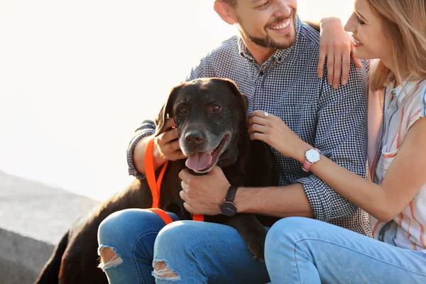 屋外の所有者とかわいい茶色ラブラドル レトリーバー犬 — ストック写真