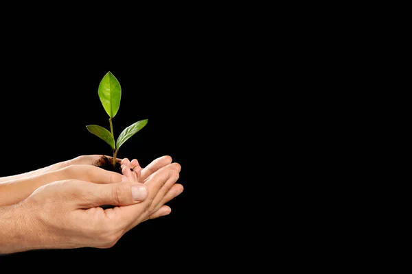 Man Zijn Kind Houden Bodem Met Groene Plant Handen Zwarte — Stockfoto