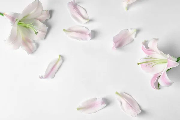 Плоска Композиція Красивими Квітучими Квітами Лілії Білому Тлі — стокове фото