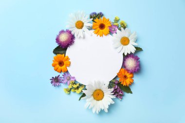 Renk arka plan üzerinde kır çiçekleri ile düz yatıyordu kompozisyon