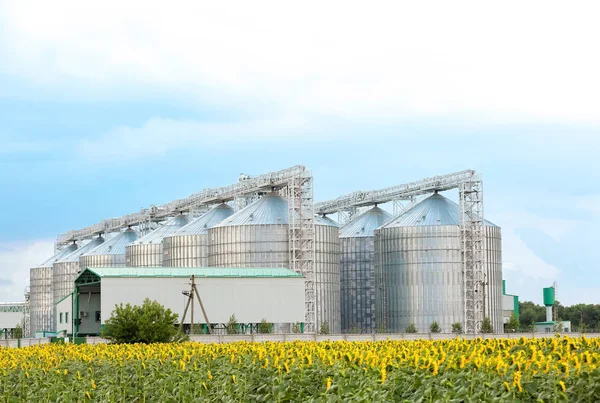 Ряд Современных Зернохранилищ Хранения Зерновых Полевых Условиях — стоковое фото