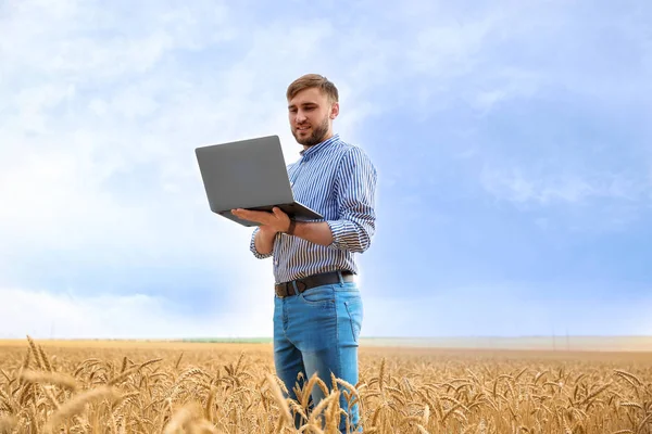 Jonge Agronoom Met Laptop Graan Veld Granen Landbouw — Stockfoto