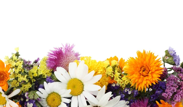 Ramo Hermosas Flores Silvestres Sobre Fondo Blanco — Foto de Stock