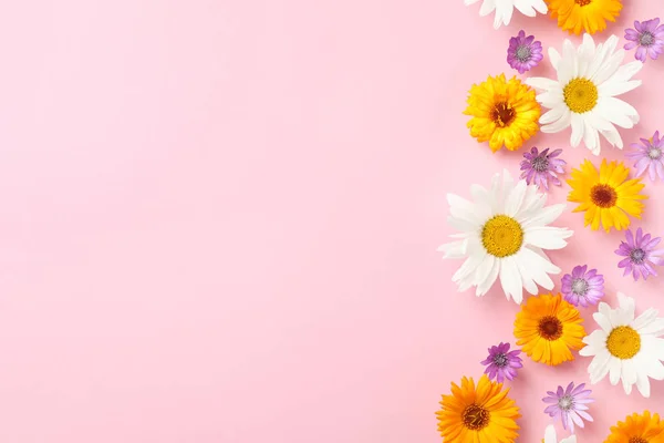Composición Plana Con Flores Silvestres Sobre Fondo Color — Foto de Stock