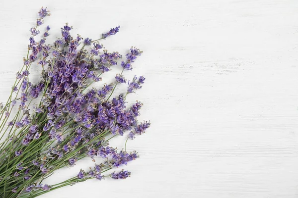 Hermosas Flores Lavanda Flor Sobre Fondo Claro Vista Superior —  Fotos de Stock