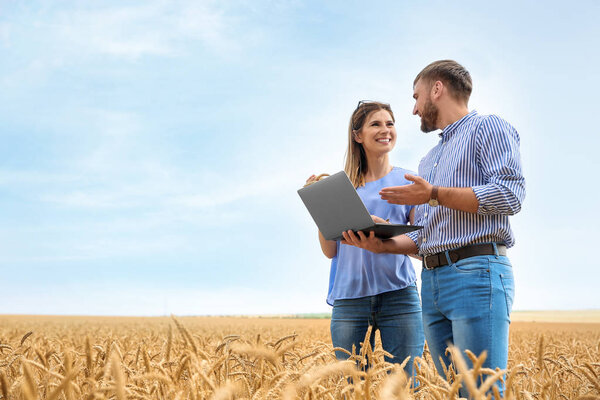Young agronomists in grain field. Cereal farming