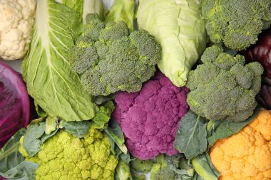 Arka plan olarak farklı lahana. Sağlıklı gıda