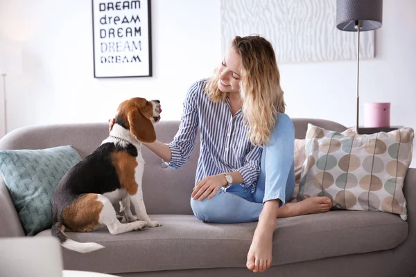 Jeune Femme Avec Son Chien Sur Canapé Maison — Photo