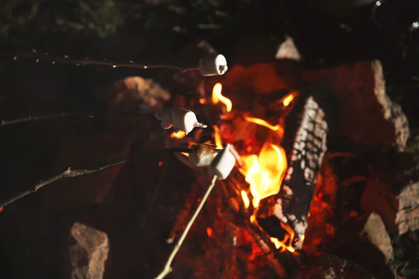 Marshmallows Nachts Lagerfeuer Braten Nahaufnahme Campingsaison — Stockfoto