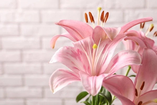 Красивые Цветущие Цветы Лилии Фоне Кирпичной Стены — стоковое фото