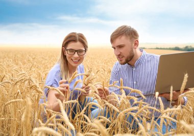 Young agronomists in grain field. Cereal farming clipart