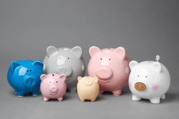 Diferentes Bonito Porquinho Bancos Fundo Cinza — Fotografia de Stock