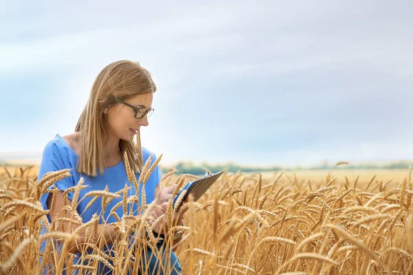 Joven Agrónomo Con Portapapeles Campo Grano Producción Cereales — Foto de Stock