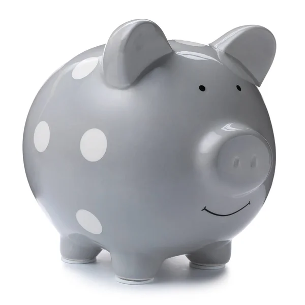 Grijze Piggy Bank Witte Achtergrond Geld Besparing — Stockfoto