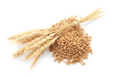 Buğday taneleri ile spikelets beyaz arka plan üzerinde
