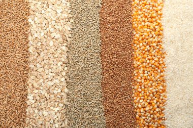 Different types of grains and cereals as background clipart