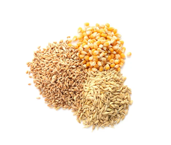 Different Types Grains Cereals White Background — Stock Photo, Image