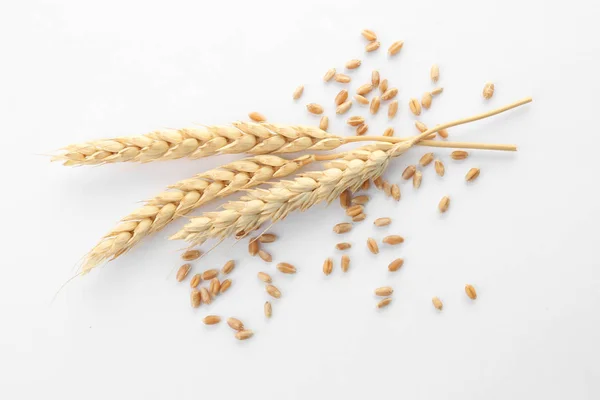 Зерна Пшеницы Шипами Белом Фоне — стоковое фото
