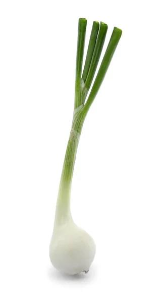 Beyaz Arkaplanda Taze Yeşil Soğan — Stok fotoğraf