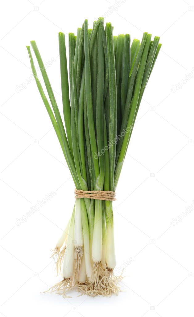 Tied fresh green onion on white background