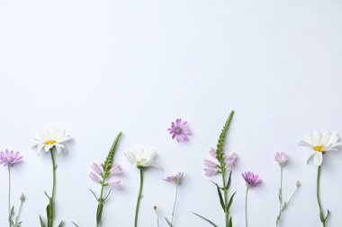 Beyaz arka plan üzerinde kır çiçekleri ile düz yatıyordu kompozisyon