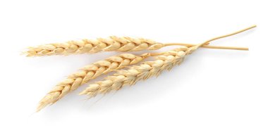 Beyaz arka plan üzerinde spikelets. Sağlıklı tahıl ve tahıl