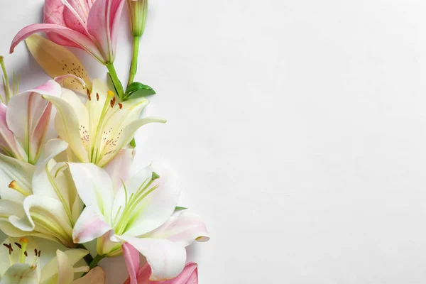 Composición Con Hermosas Flores Lirio Flor Sobre Fondo Blanco — Foto de Stock