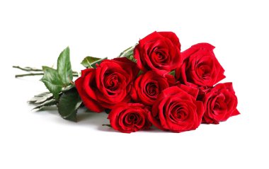 Beyaz zemin üzerine kırmızı gül çiçekler çok güzel