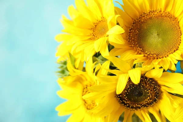Букет Красивих Жовтих Соняшників Кольоровому Фоні — стокове фото