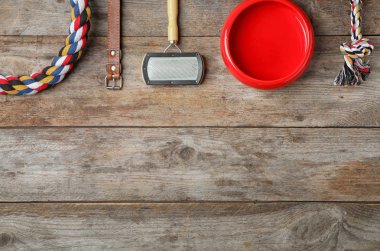 Düz yatıyordu kompozisyon aksesuarlar için köpek üstünde tahta arka plan ile. Evde beslenen hayvan kaygı