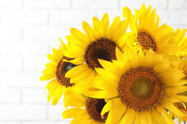 Buket ışık arka plan üzerinde güzel sarı ayçiçeği