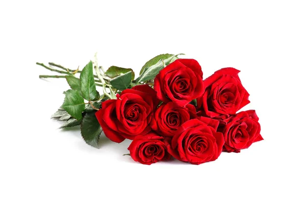 Hermosas Flores Rosa Roja Sobre Fondo Blanco —  Fotos de Stock