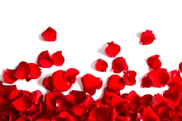 Background Red Rose Petals Stock Photo by ©eduardkraft 4642616