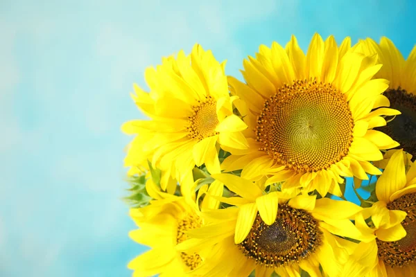 Ramillete Hermosos Girasoles Amarillos Sobre Fondo Color — Foto de Stock