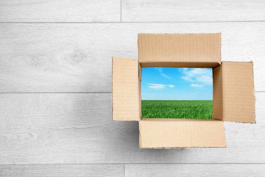 Peyzaj Açık karton ambalaj ahşap arka plan üzerinde aracılığıyla bir bakış. Yaratıcı fikirler, yenilikler ve çözümleri kavramı. Düşünme kutusu - farklı