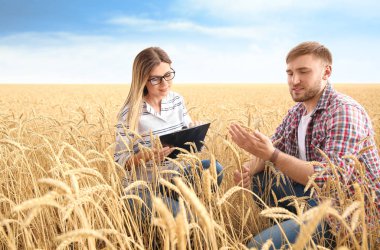 Genç Ziraat tahıl alanda. Tahıl tarım