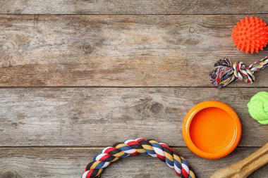 Düz yatıyordu kompozisyon aksesuarlar için köpek üstünde tahta arka plan ile. Evde beslenen hayvan kaygı