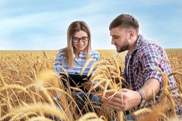 Jonge Landbouwkundigen Graan Veld Granen Landbouw — Stockfoto